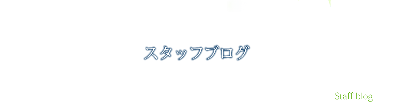 スタッフブログ
