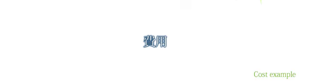 費用